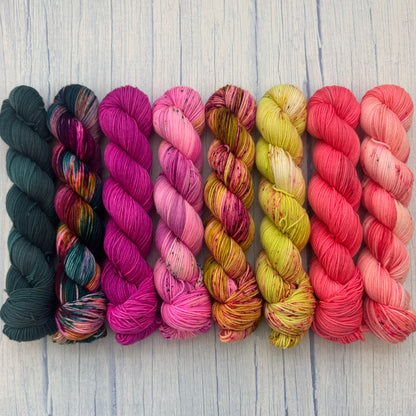 Bayou Adventure - eight 50g skeins in Princess Sock