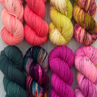 Bayou Adventure - eight 50g skeins in Princess Sock